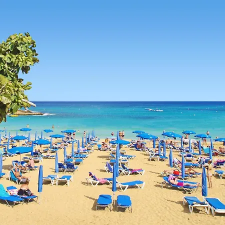 Indigo * Protaras