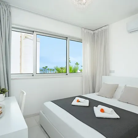 Indigo 프로타라스