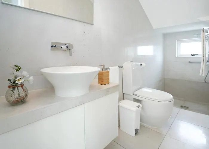 Indigo * بروتاراس